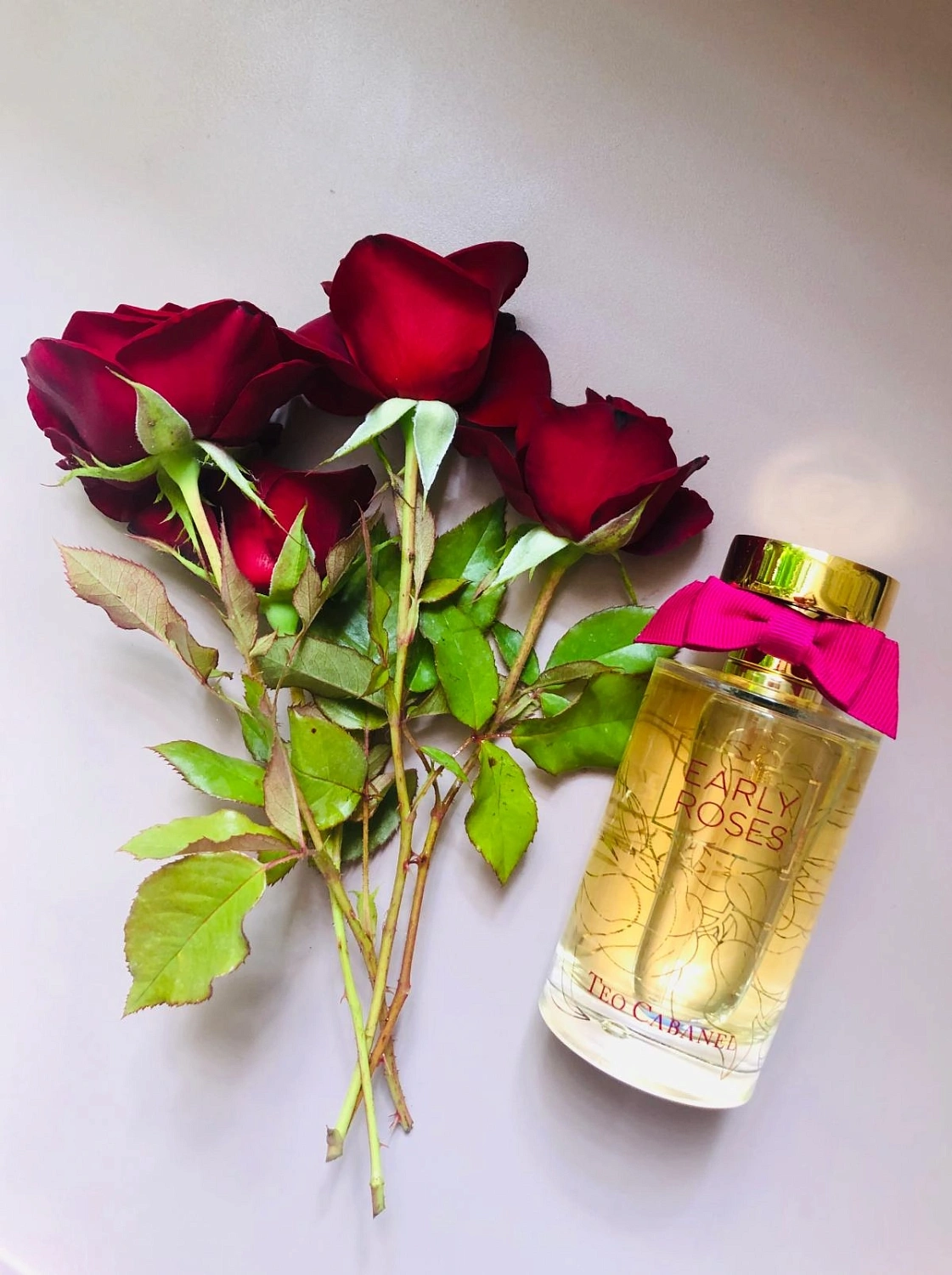 Teo Cabanel Early Roses