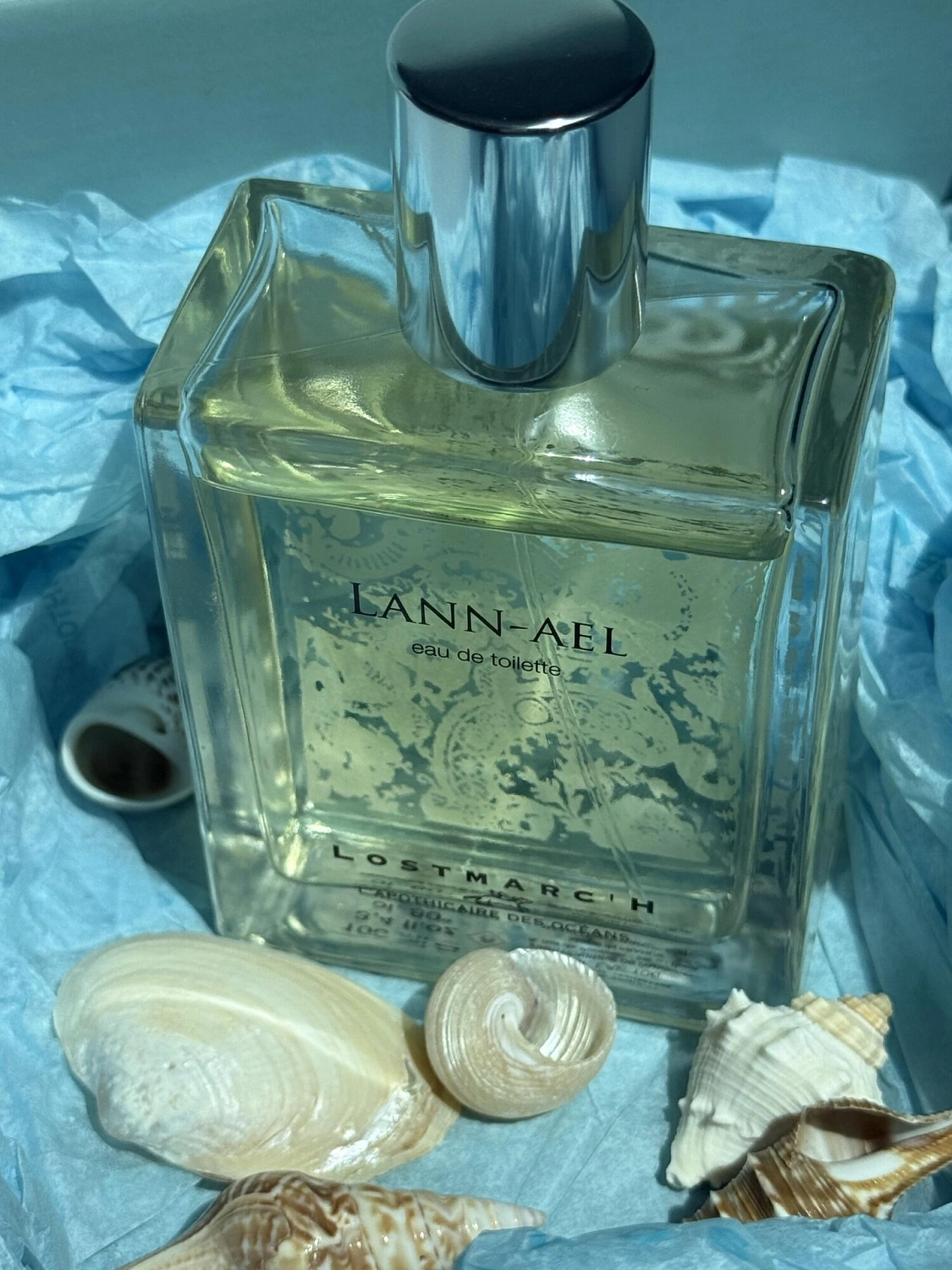 Lostmarch Lann-Ael