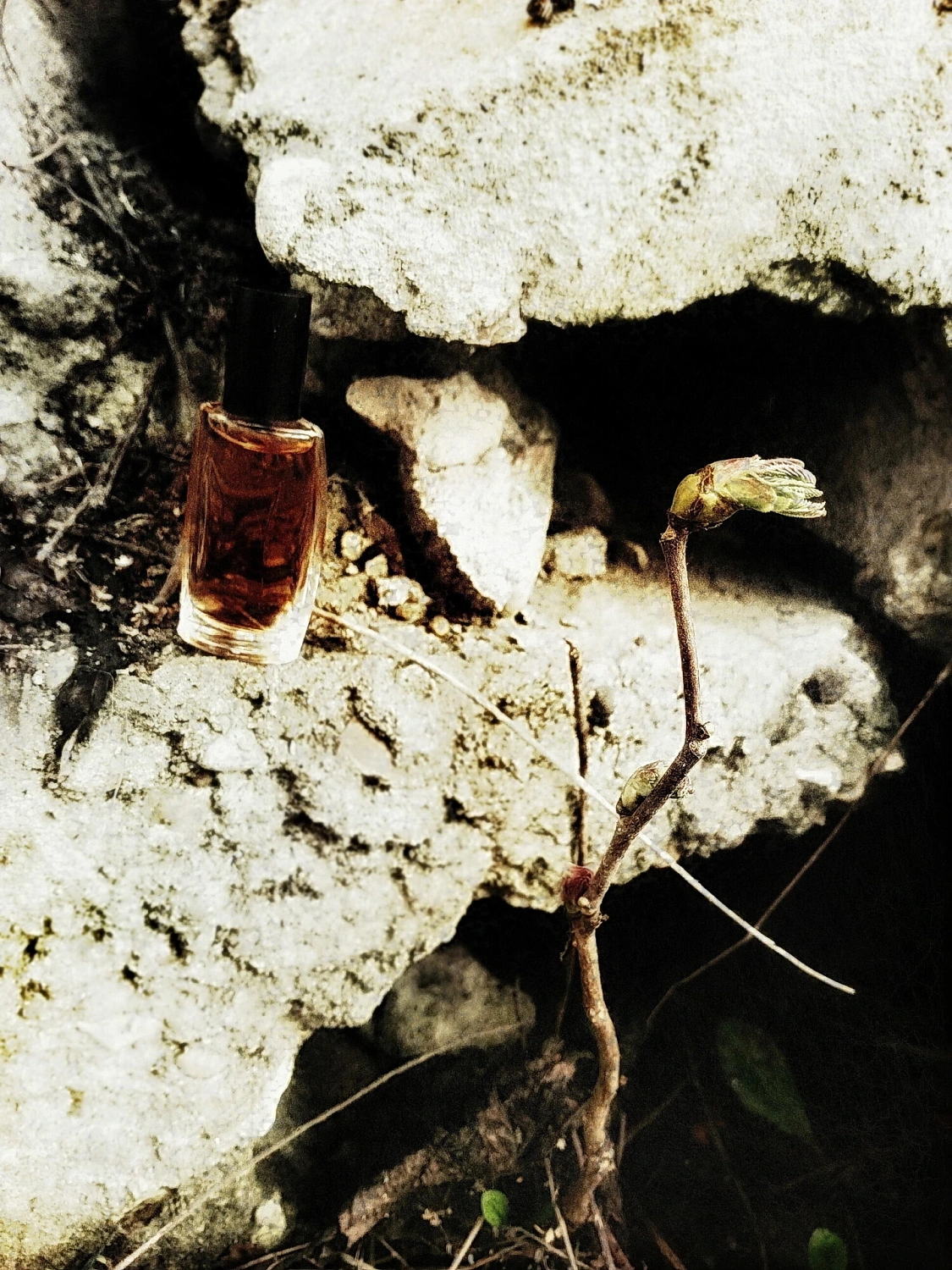 Liz Claiborne Spark Woman