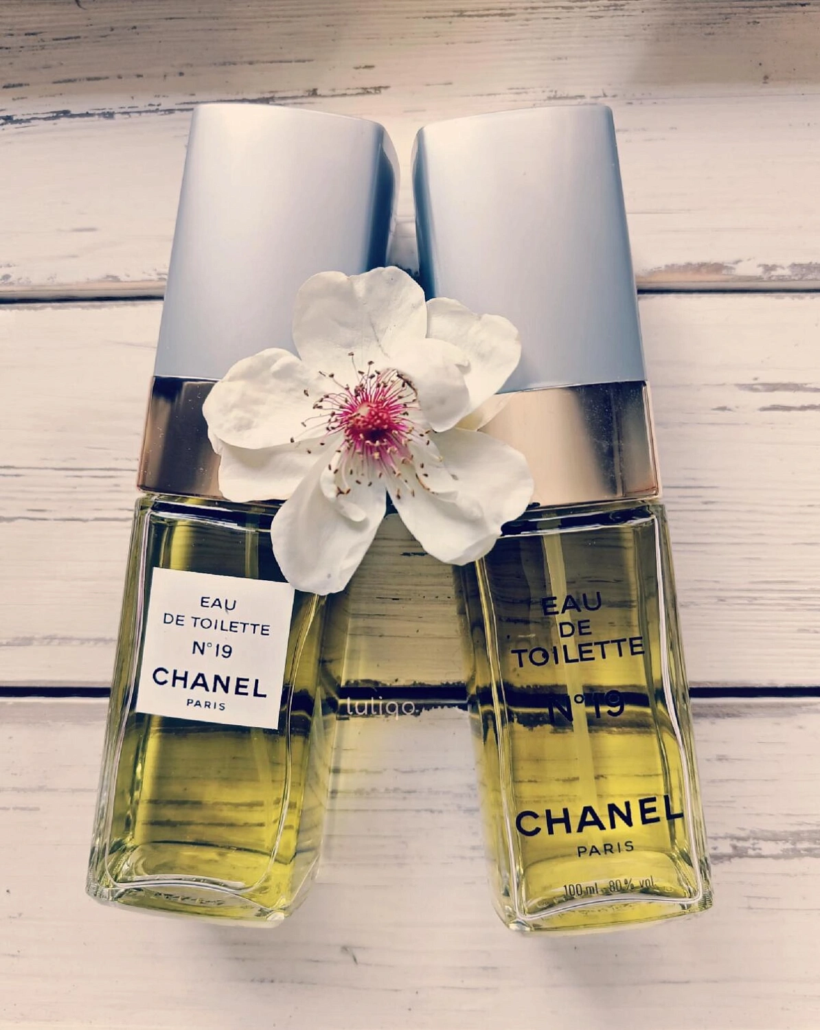Chanel N°19