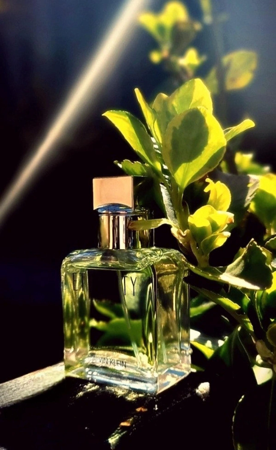 Calvin Klein Eternity For Men
