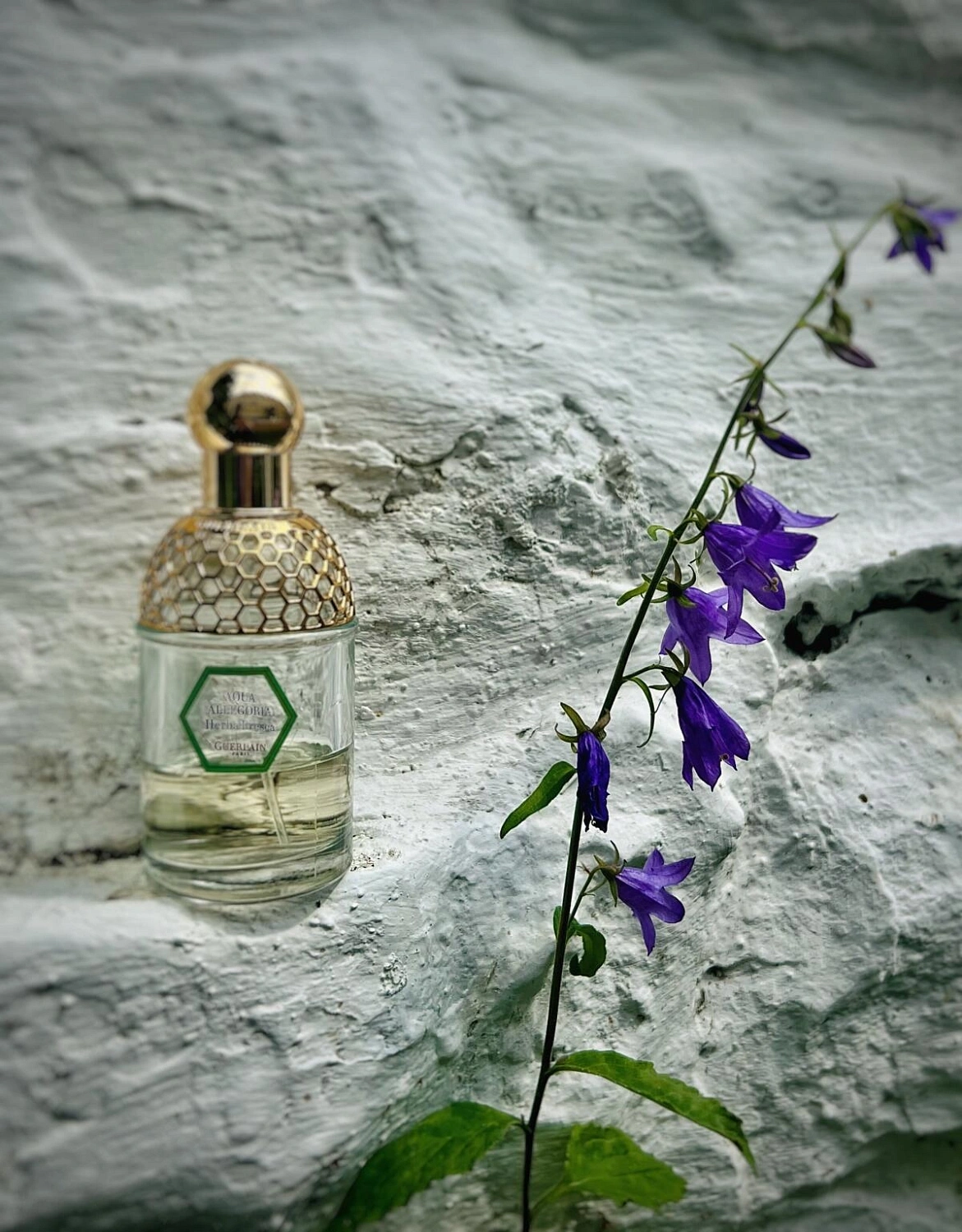 Guerlain Aqua Allegoria Herba Fresca