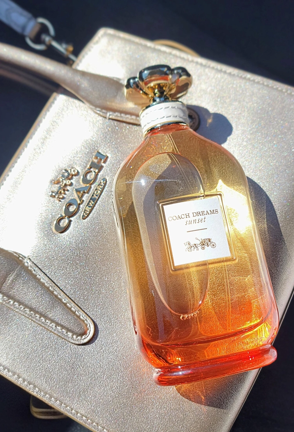 Coach Dreams Sunset
