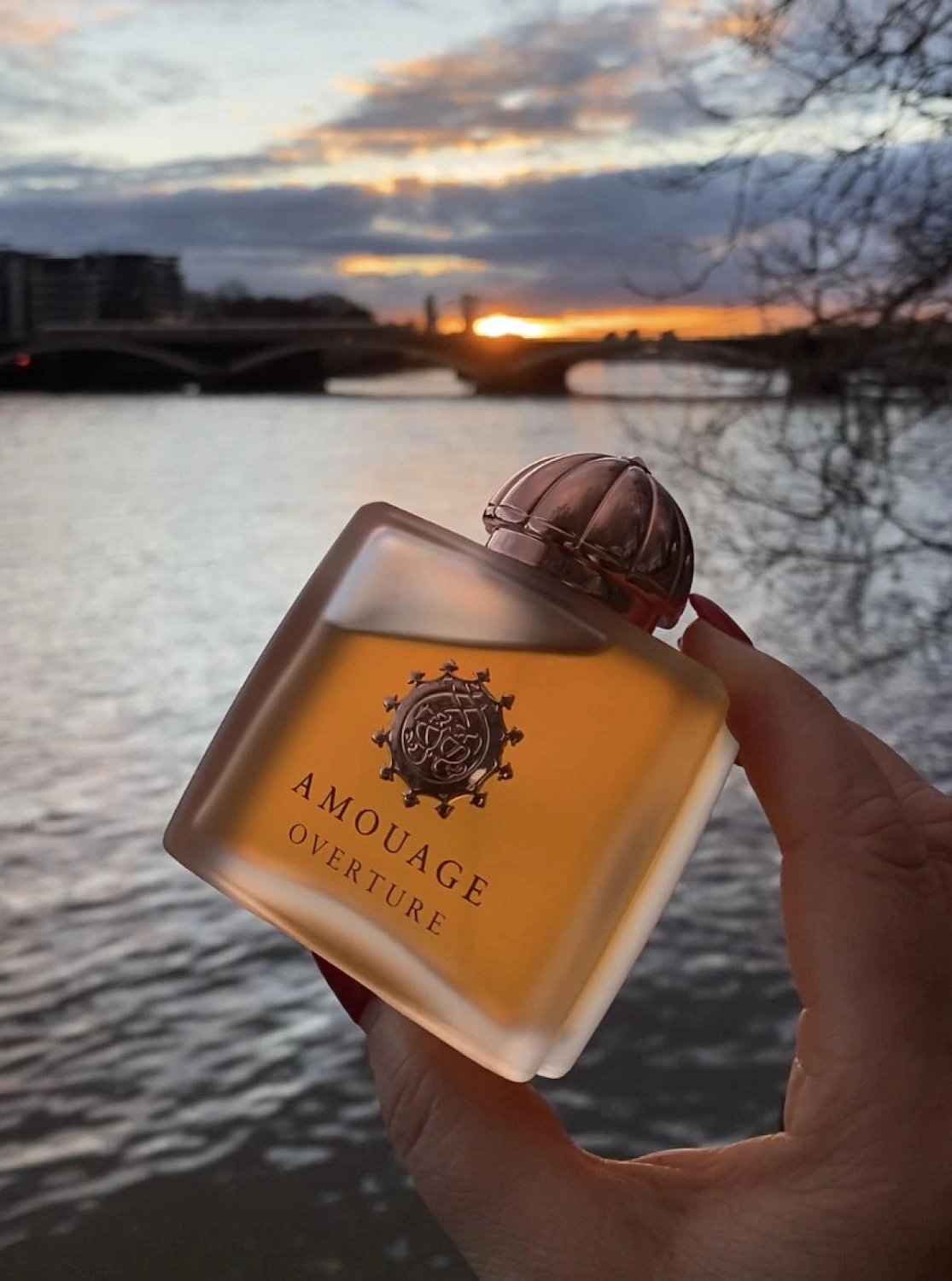 Amouage Overture Women