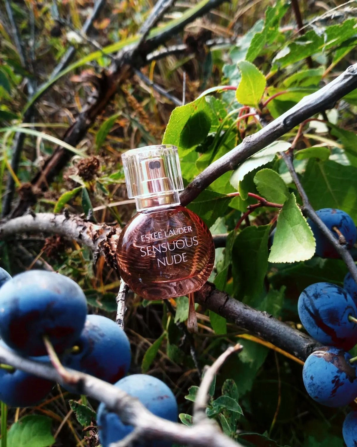 Estée Lauder Sensuous Nude