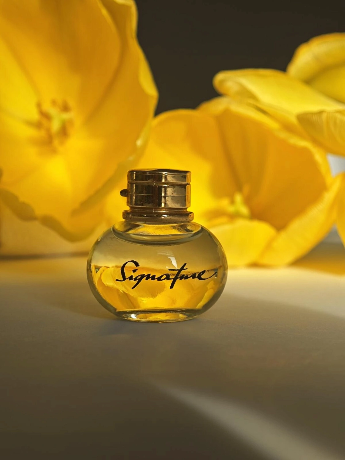 S.T. Dupont Signature