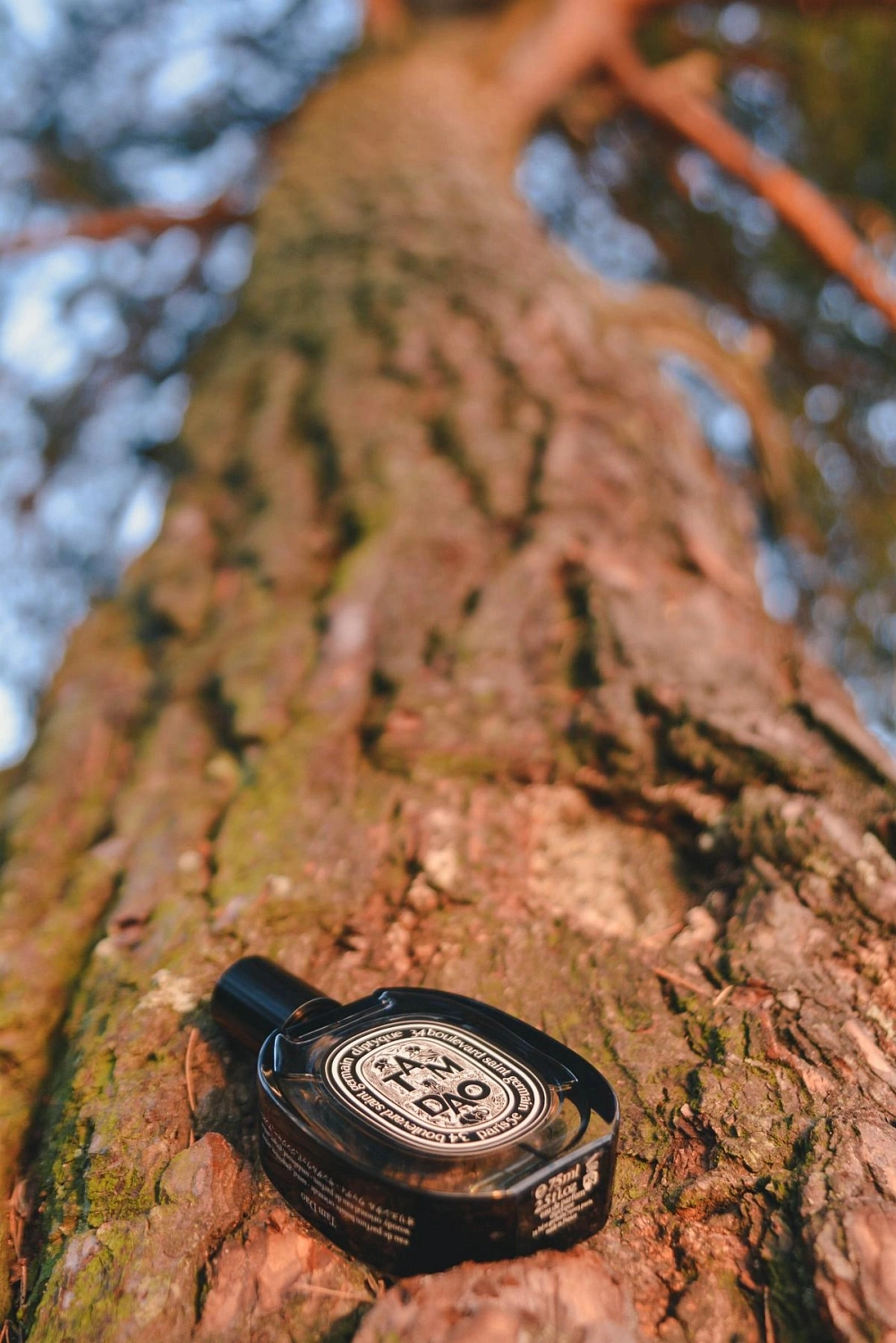 Diptyque Tam Dao Eau de Parfum