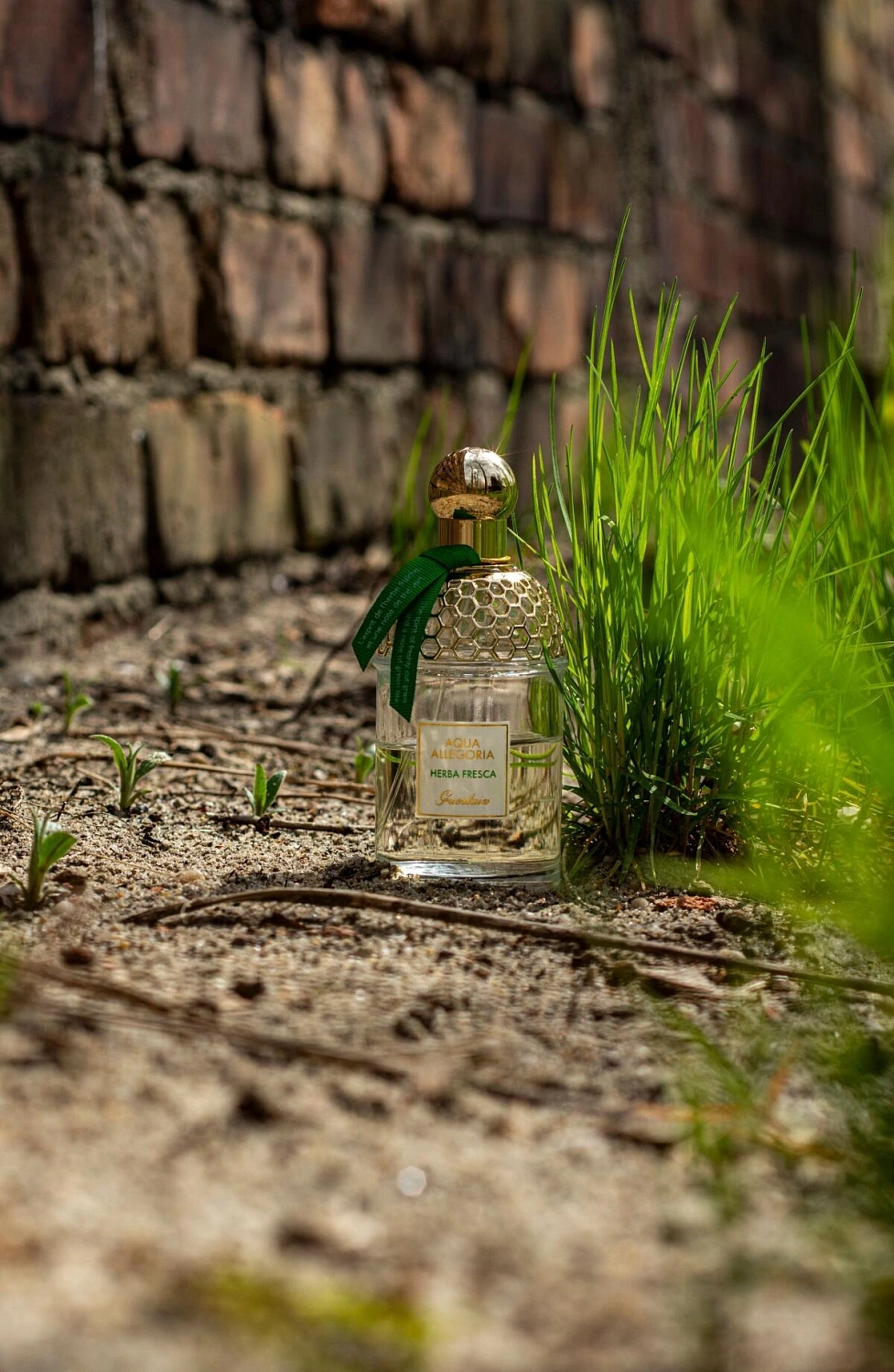Guerlain Aqua Allegoria Herba Fresca