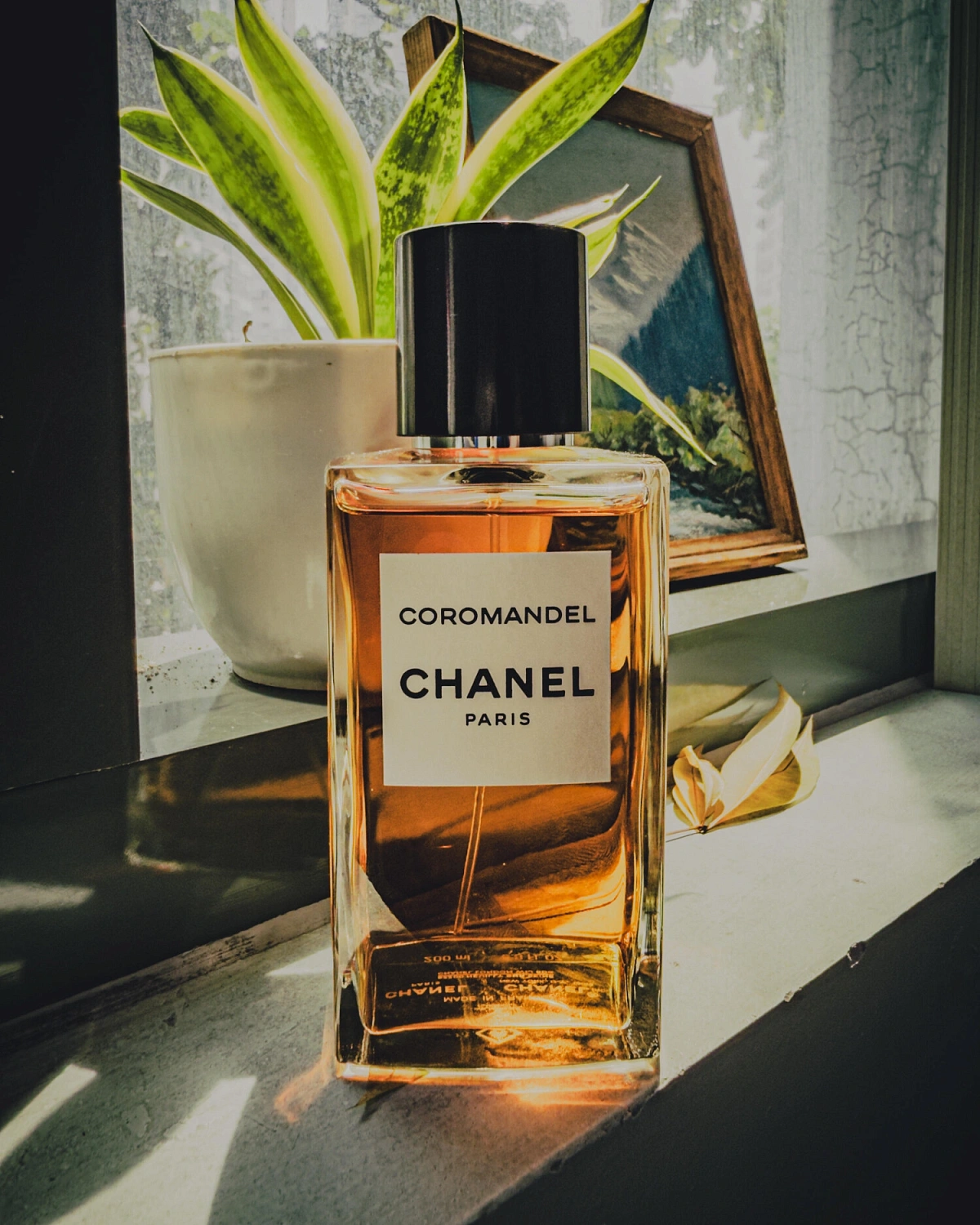 Chanel Coromandel