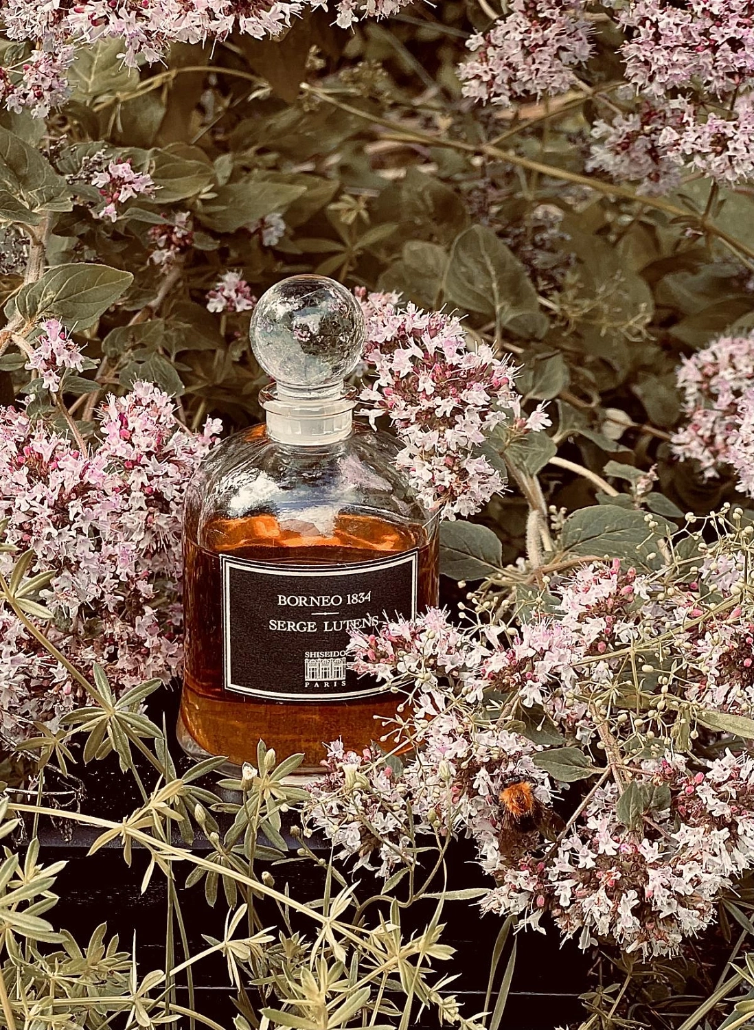 Serge Lutens Borneo 1834