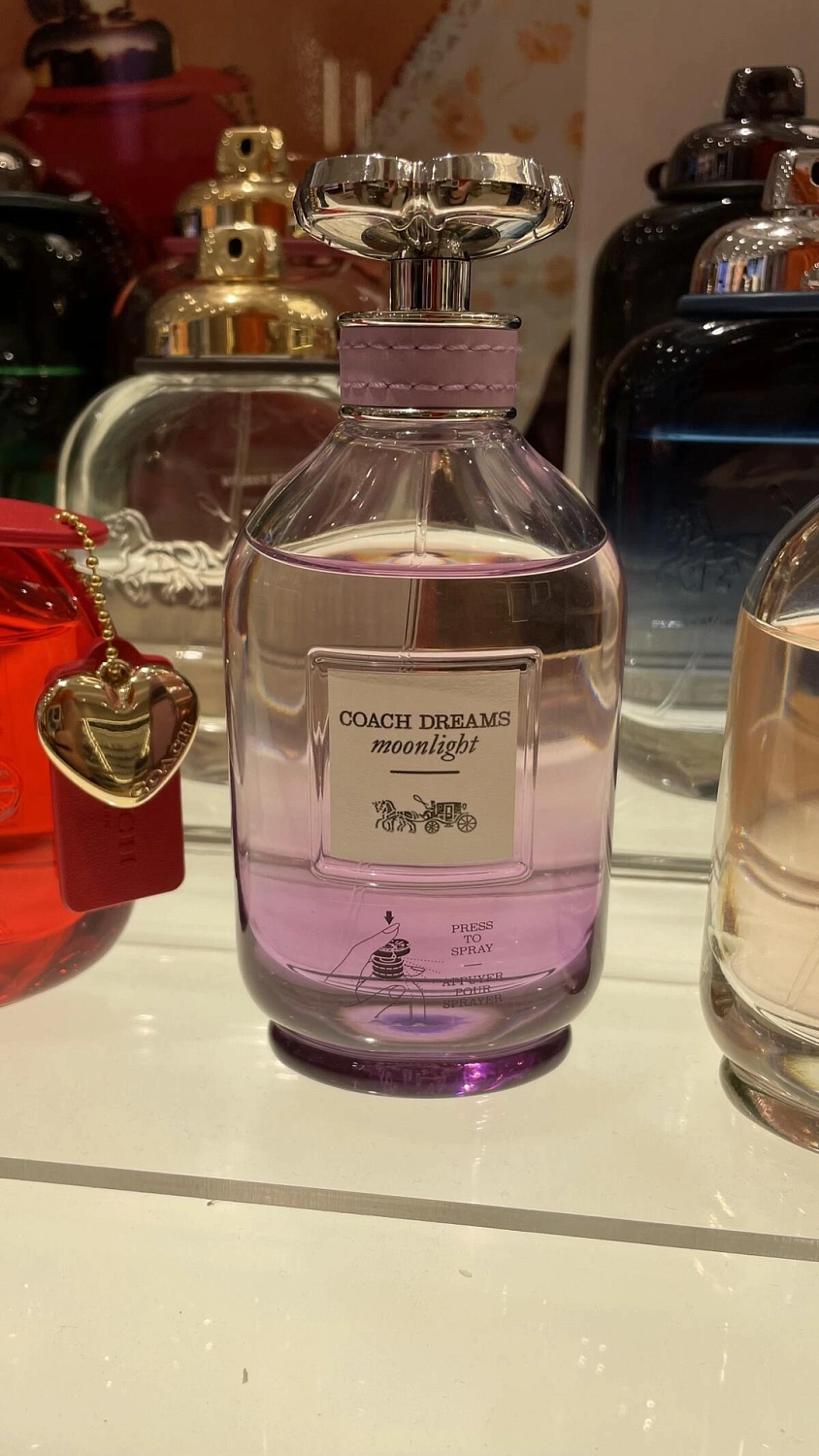 Coach Dreams Moonlight