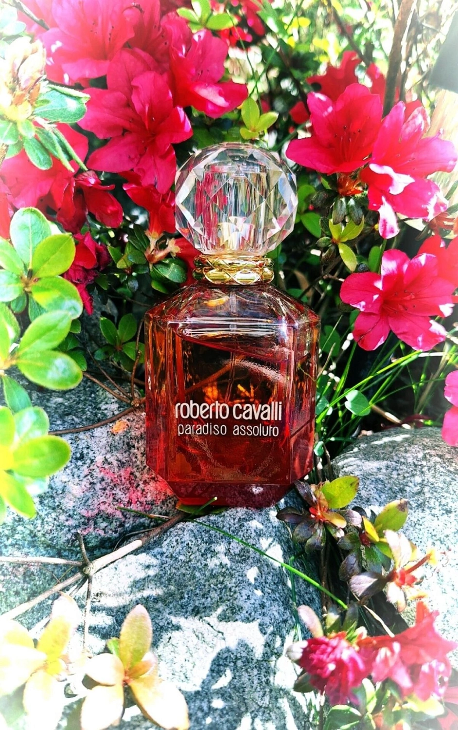 Roberto Cavalli Paradiso Assoluto