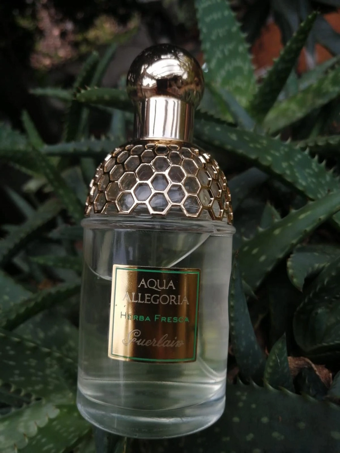 Guerlain Aqua Allegoria Herba Fresca