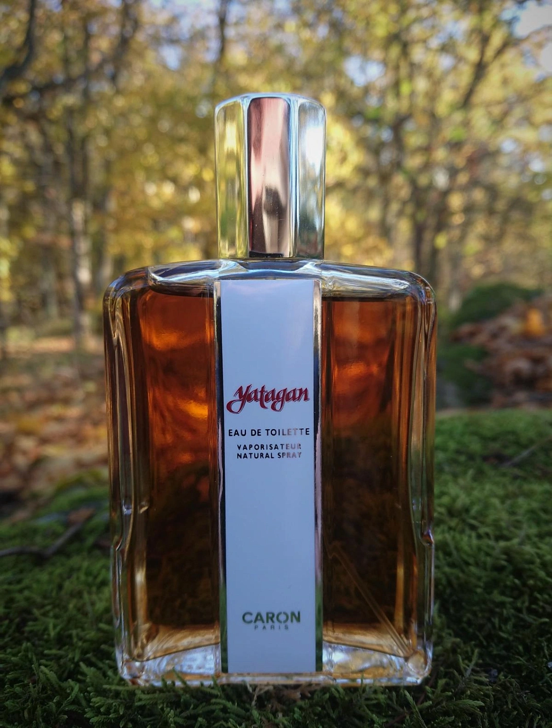 Caron Yatagan