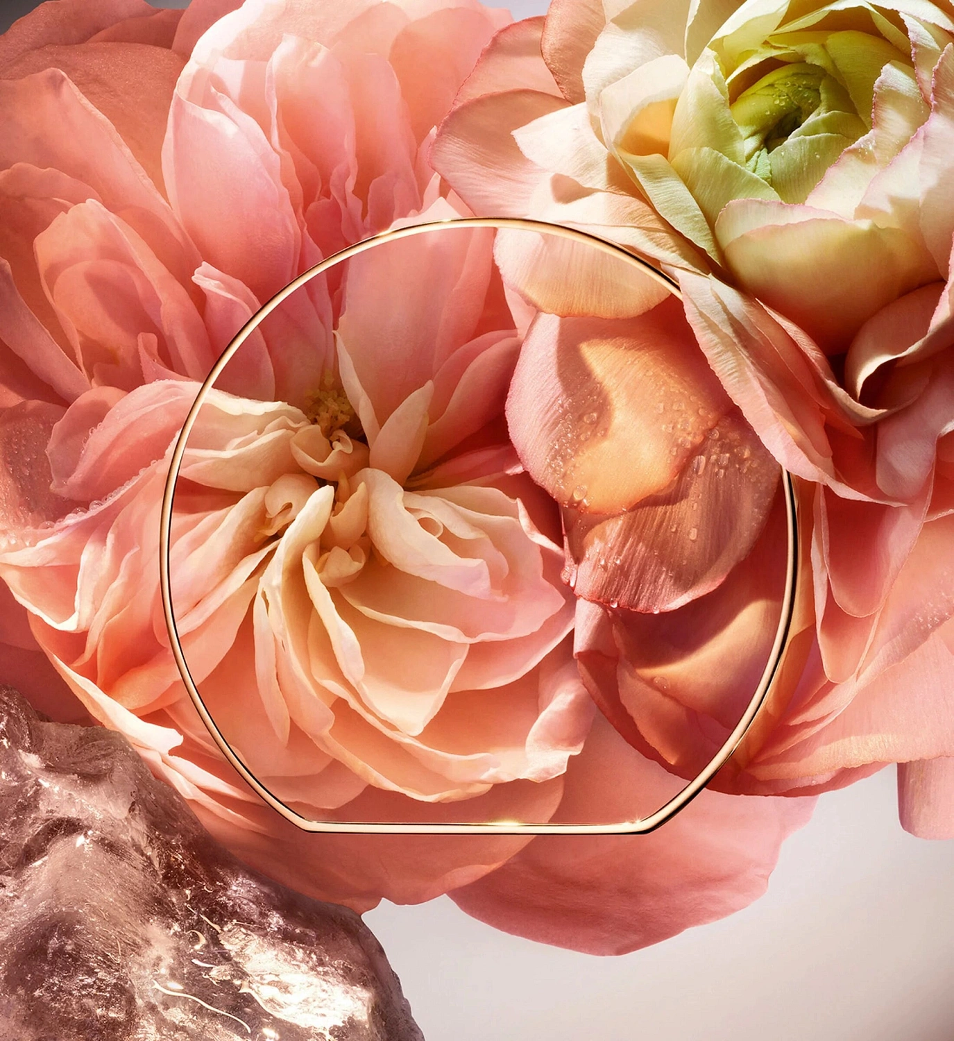 Lancôme Absolue 1001 Roses