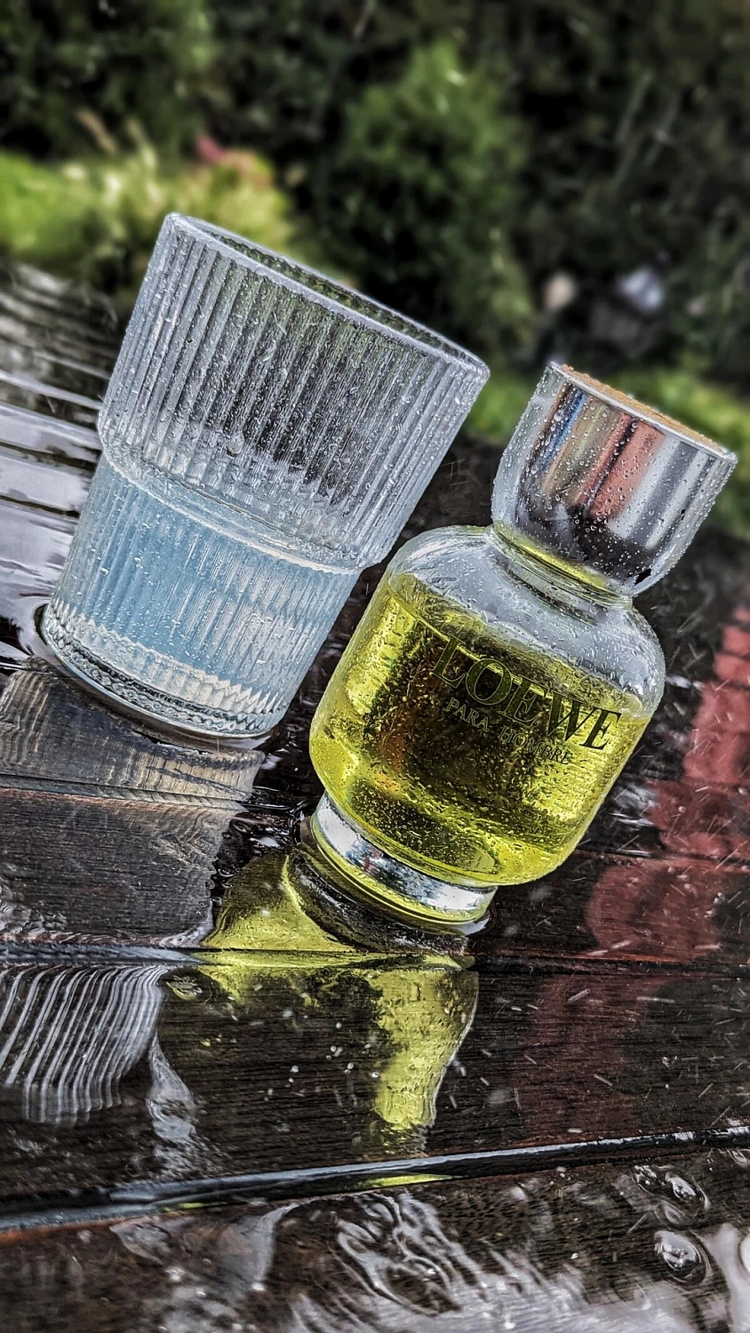Loewe Pour Homme