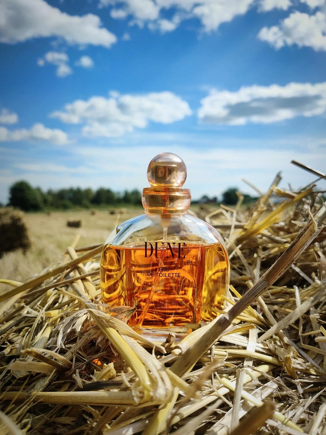 Christian Dior Dune