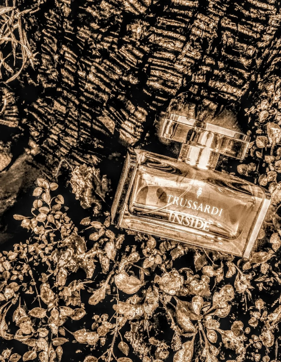 Trussardi Inside for woman