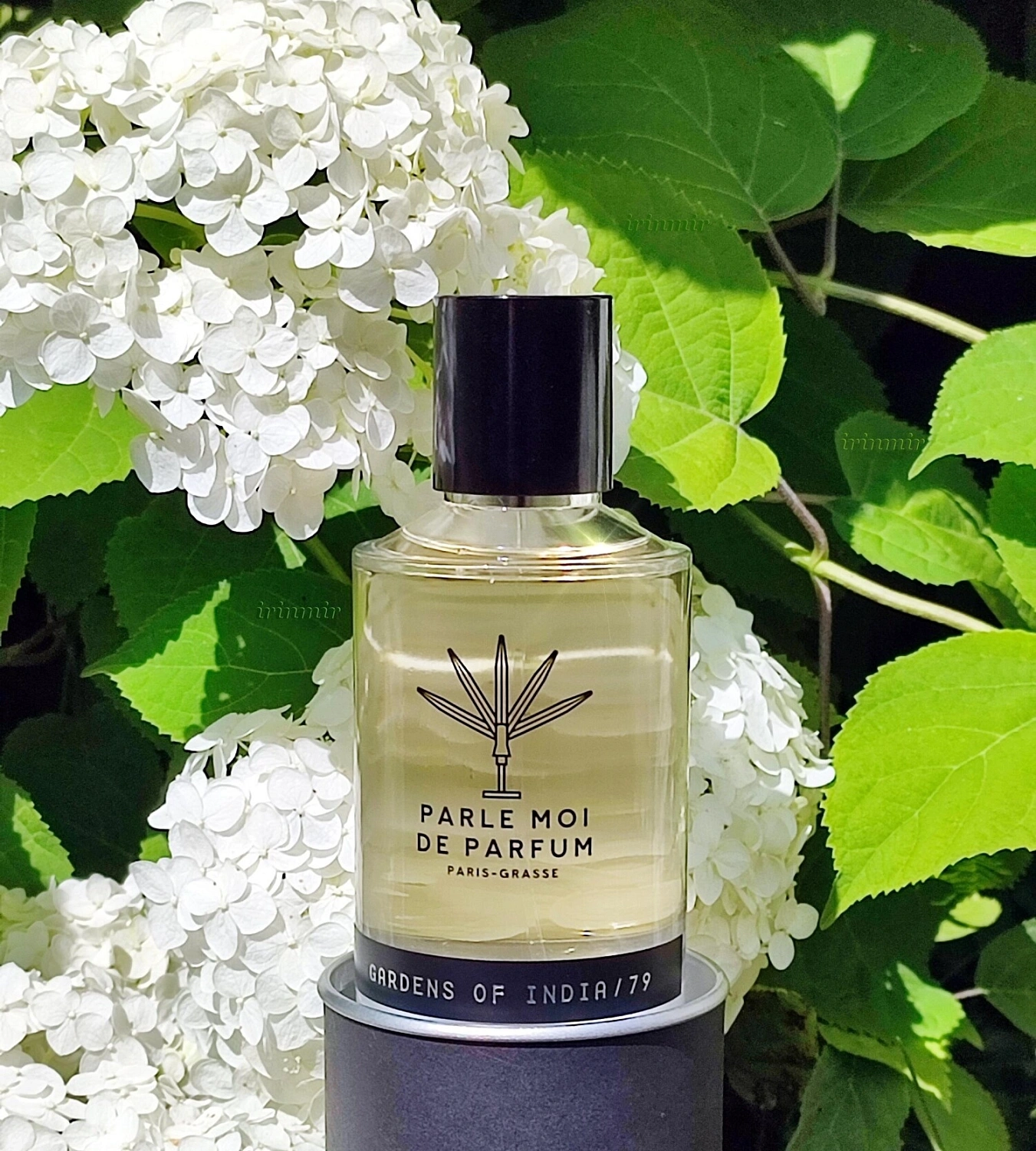 Parle Moi de Parfum Gardens Of India 79