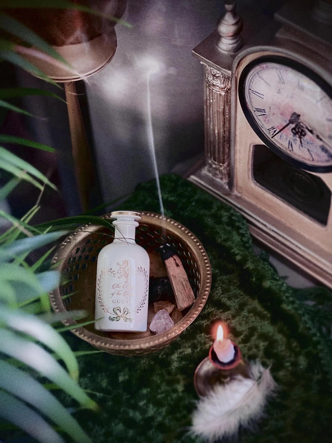 Gucci The Eyes Of The Tiger Eau de Parfum