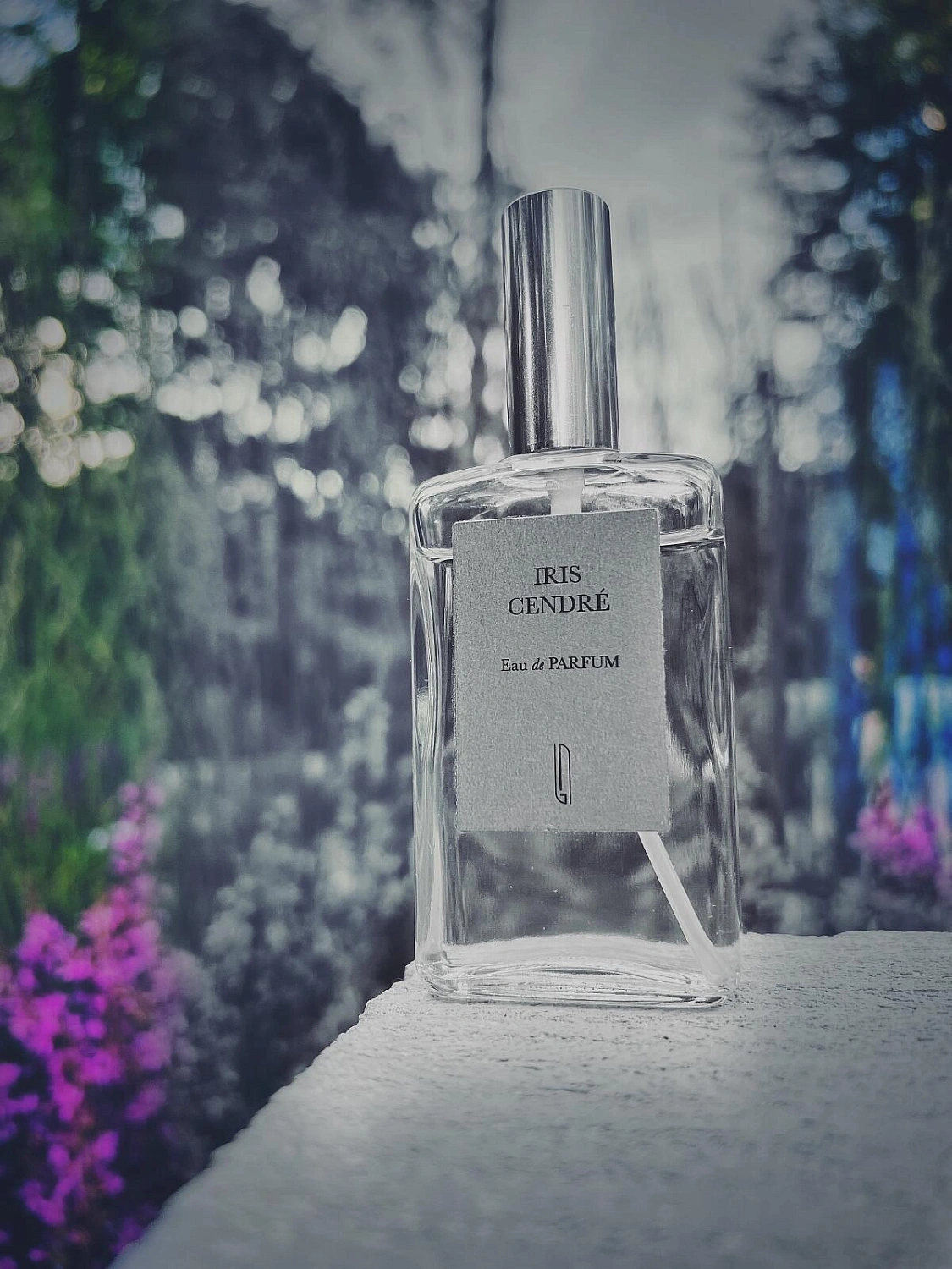 Naomi Goodsir Iris Cendre