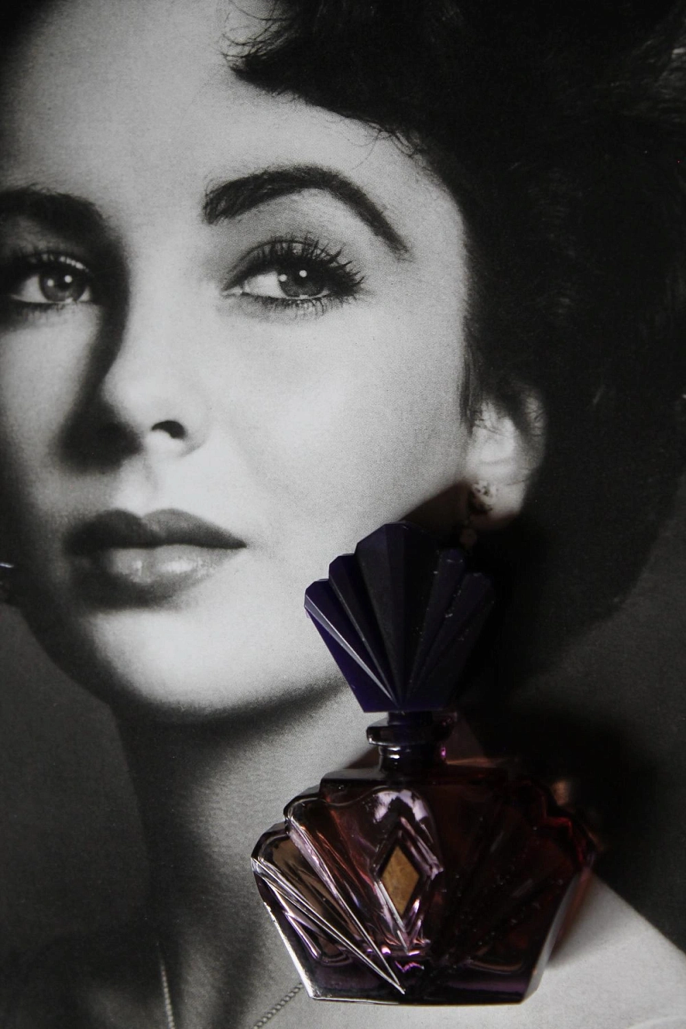 Elizabeth Taylor Passion