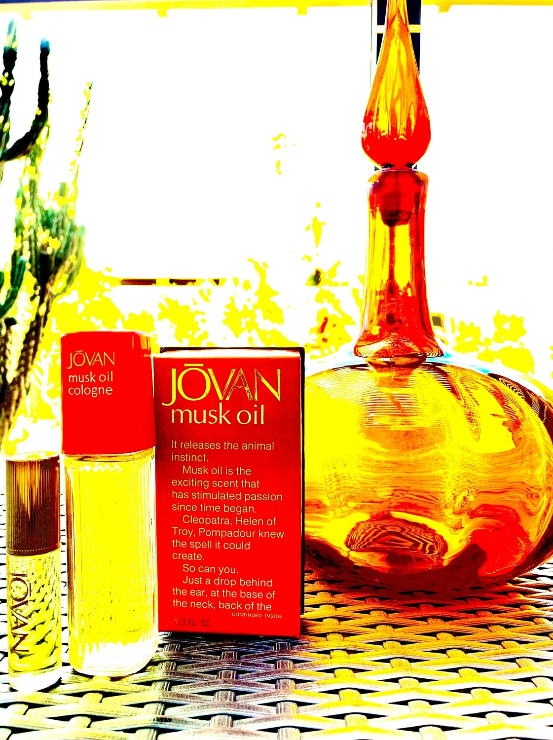 Jovan Musk for Women