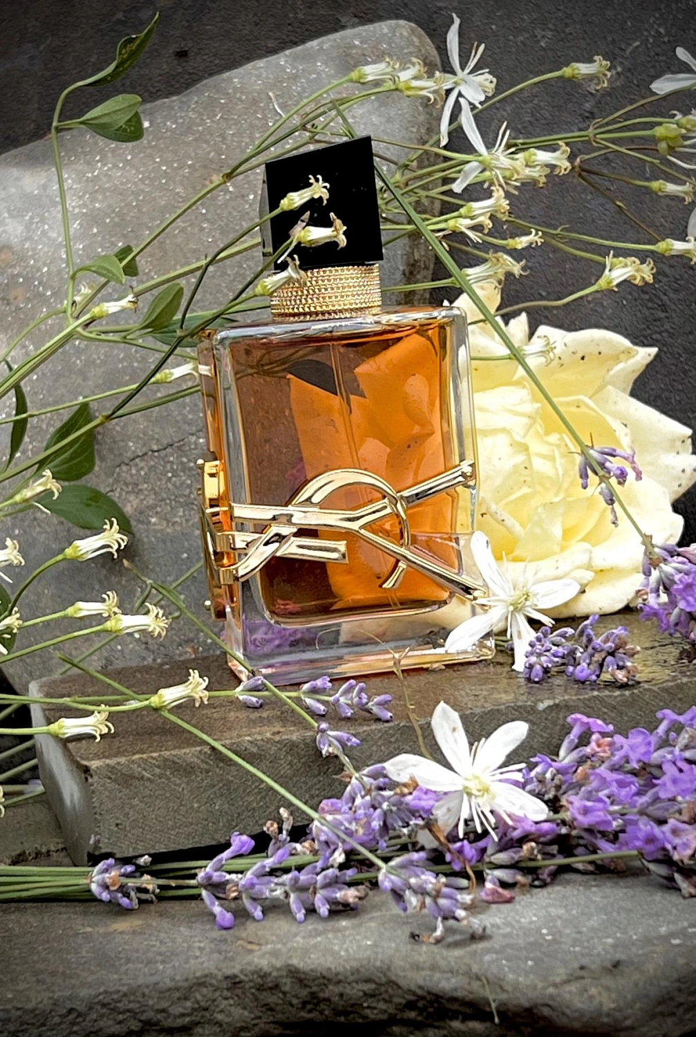 Yves Saint Laurent Libre Intense