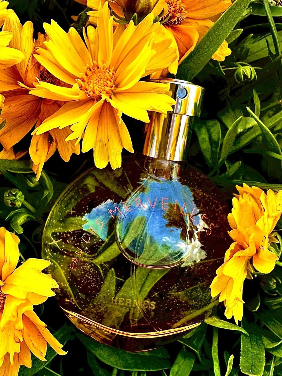 Hermès Eau des Merveilles