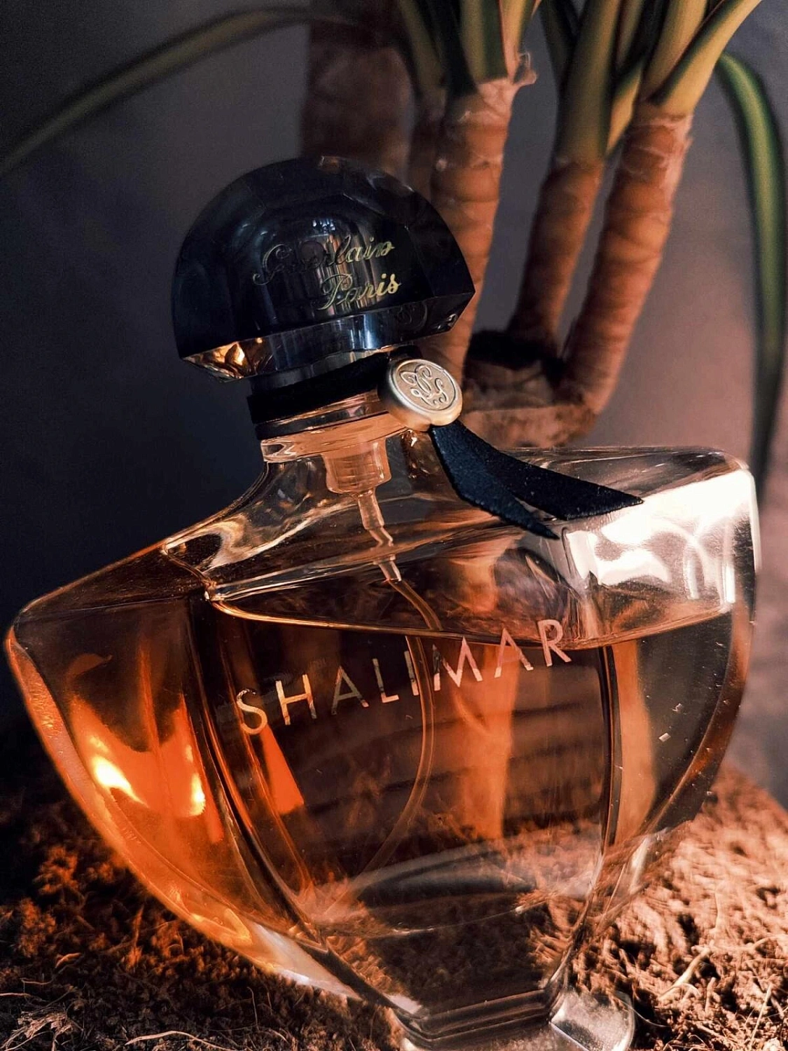 Guerlain Shalimar Eau de Parfum