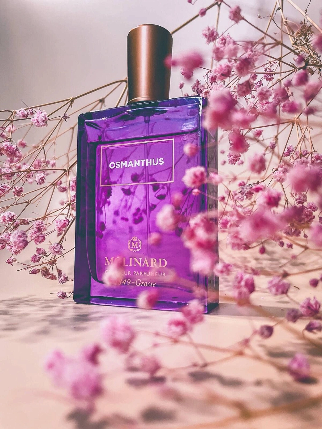 Molinard Osmanthus