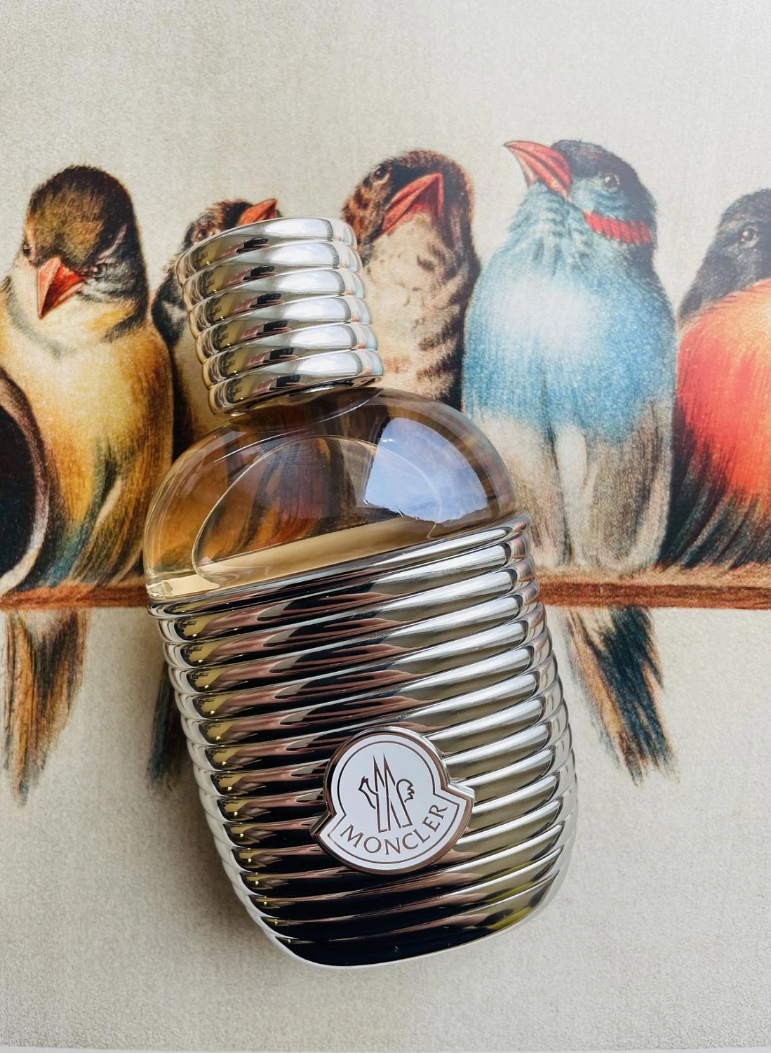 Moncler pour Femme