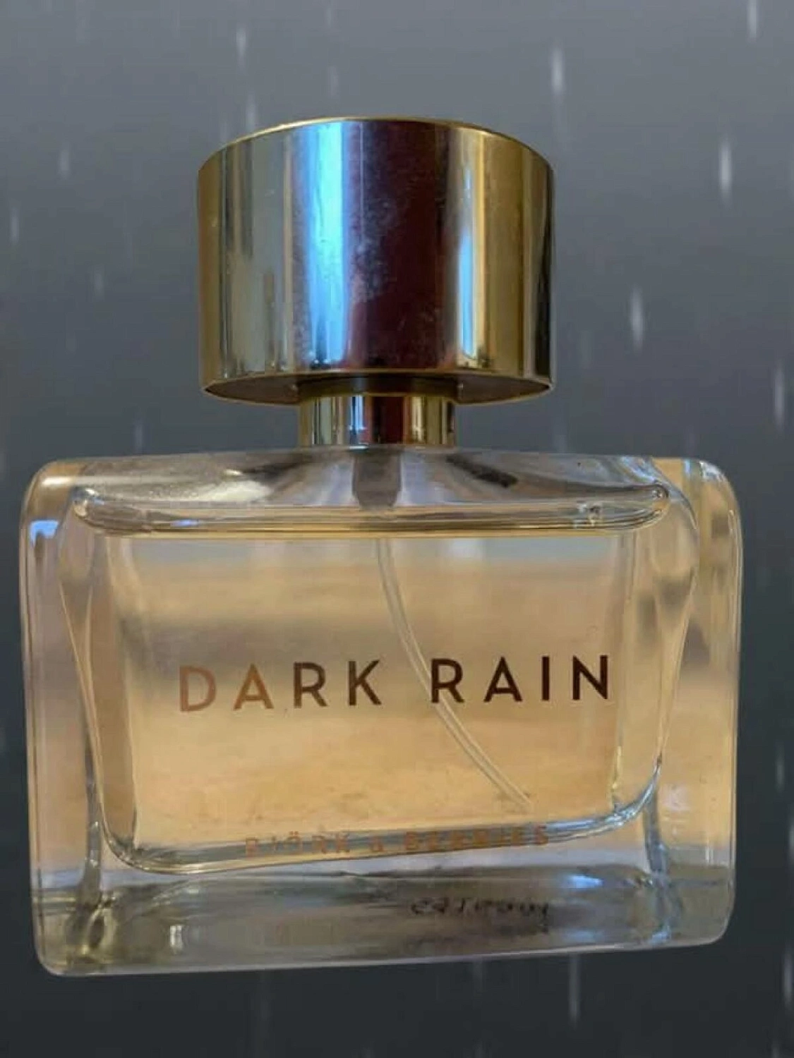 Björk and Berries Dark Rain