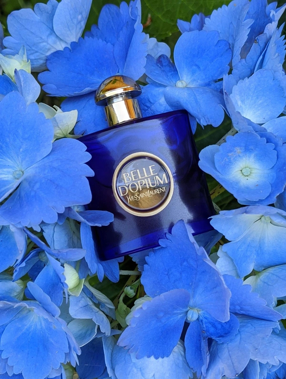 Yves Saint Laurent Belle d'Opium