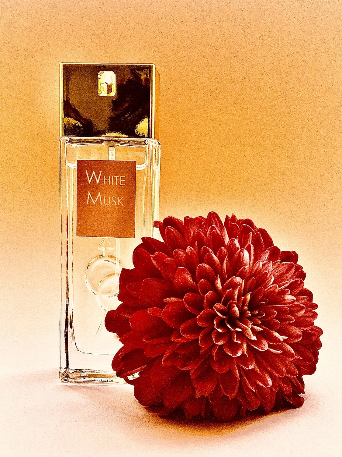 Alyssa Ashley White Musk Eau de Parfum