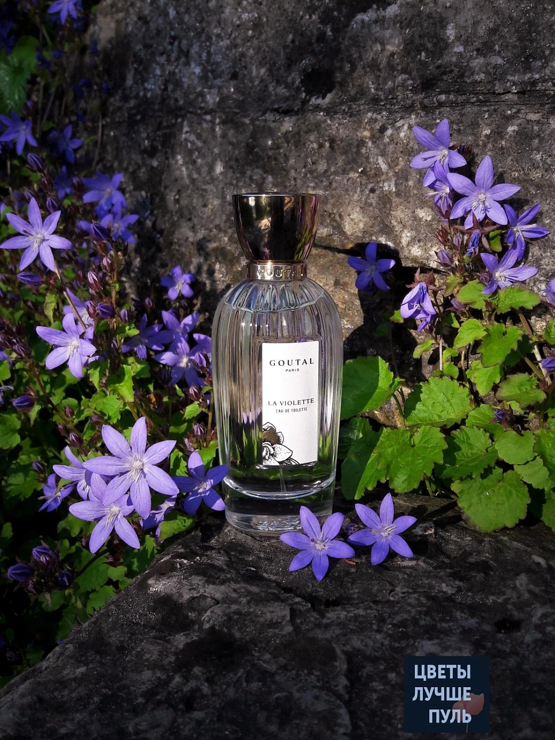 Annick Goutal La Violette