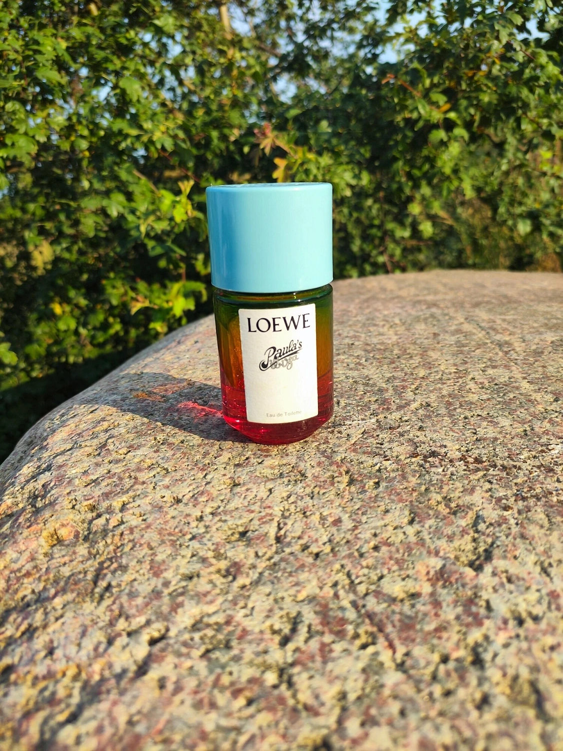 Loewe Paula's Ibiza