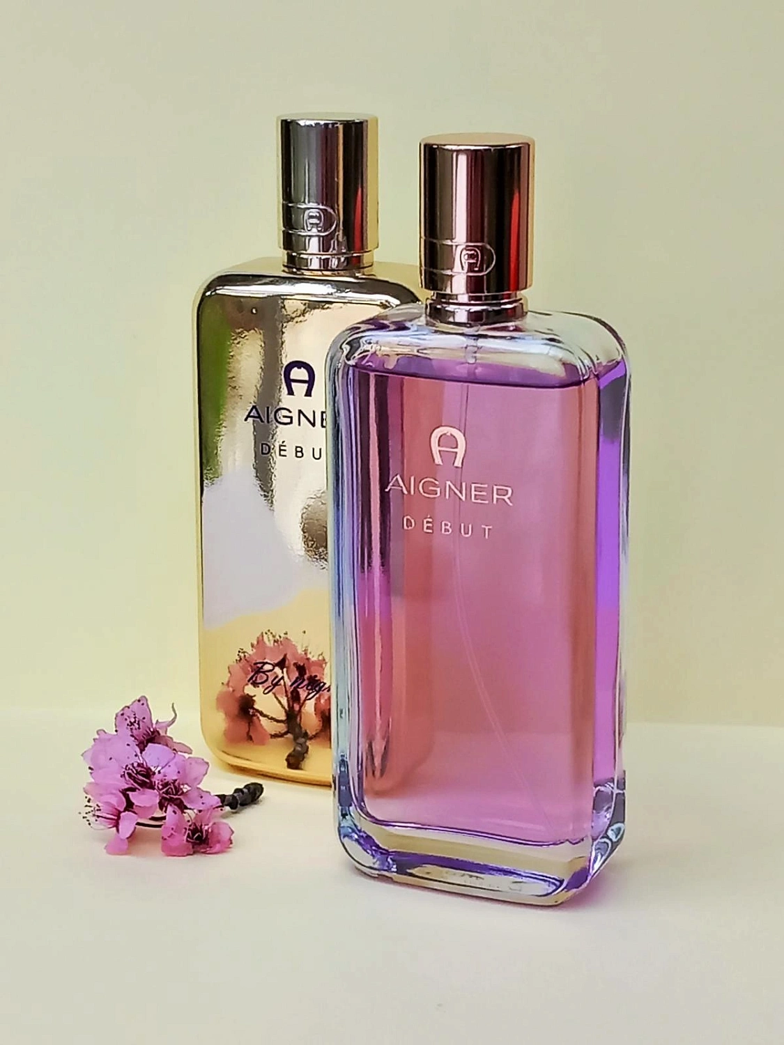Aigner Debut