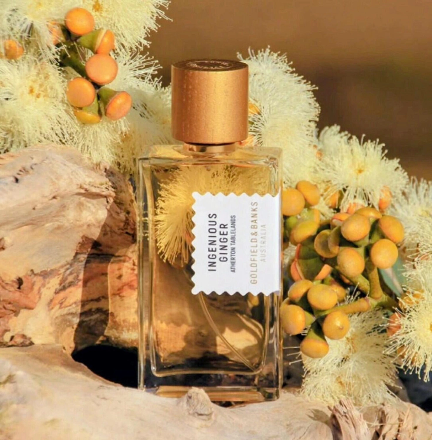 Goldfield & Banks Australia Ingenious Ginger