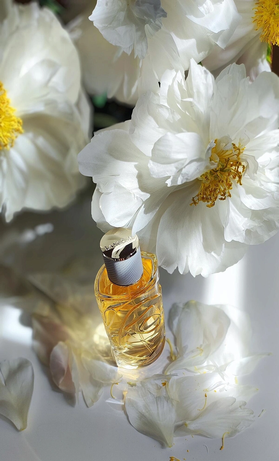 Lancôme O Zenith