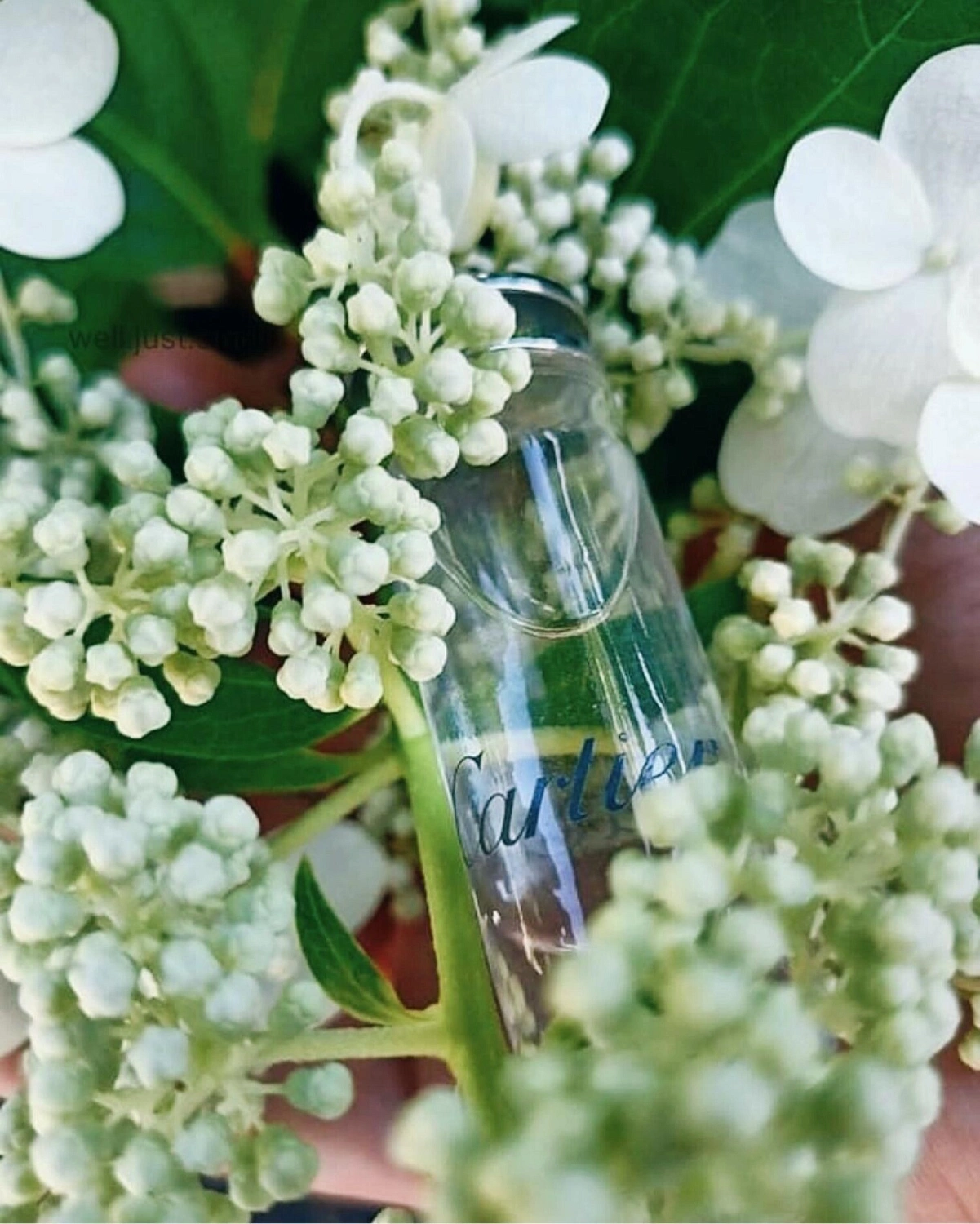 Eau de Cartier