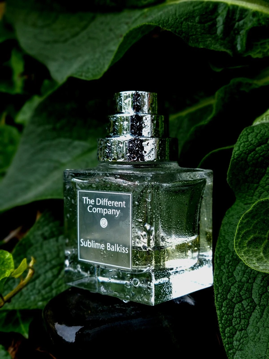 The Different Company Sublime Balkiss