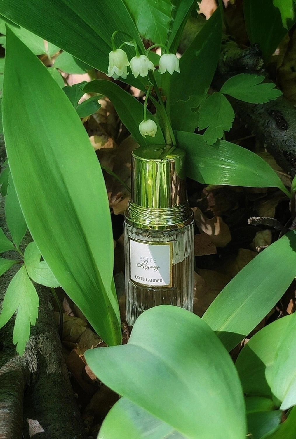 Estée Lauder Estee Legacy