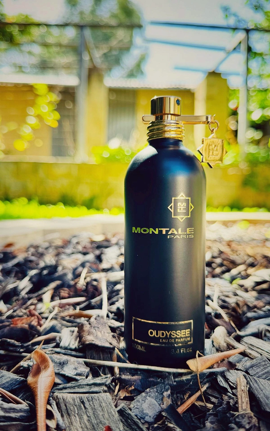 Montale Oudyssee