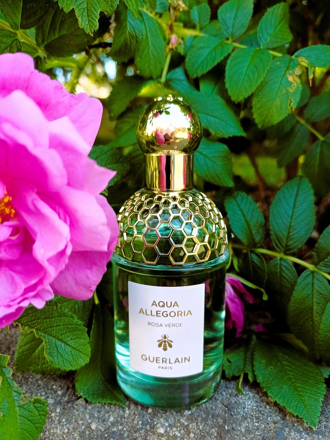 Guerlain Aqua Allegoria Rosa Verde