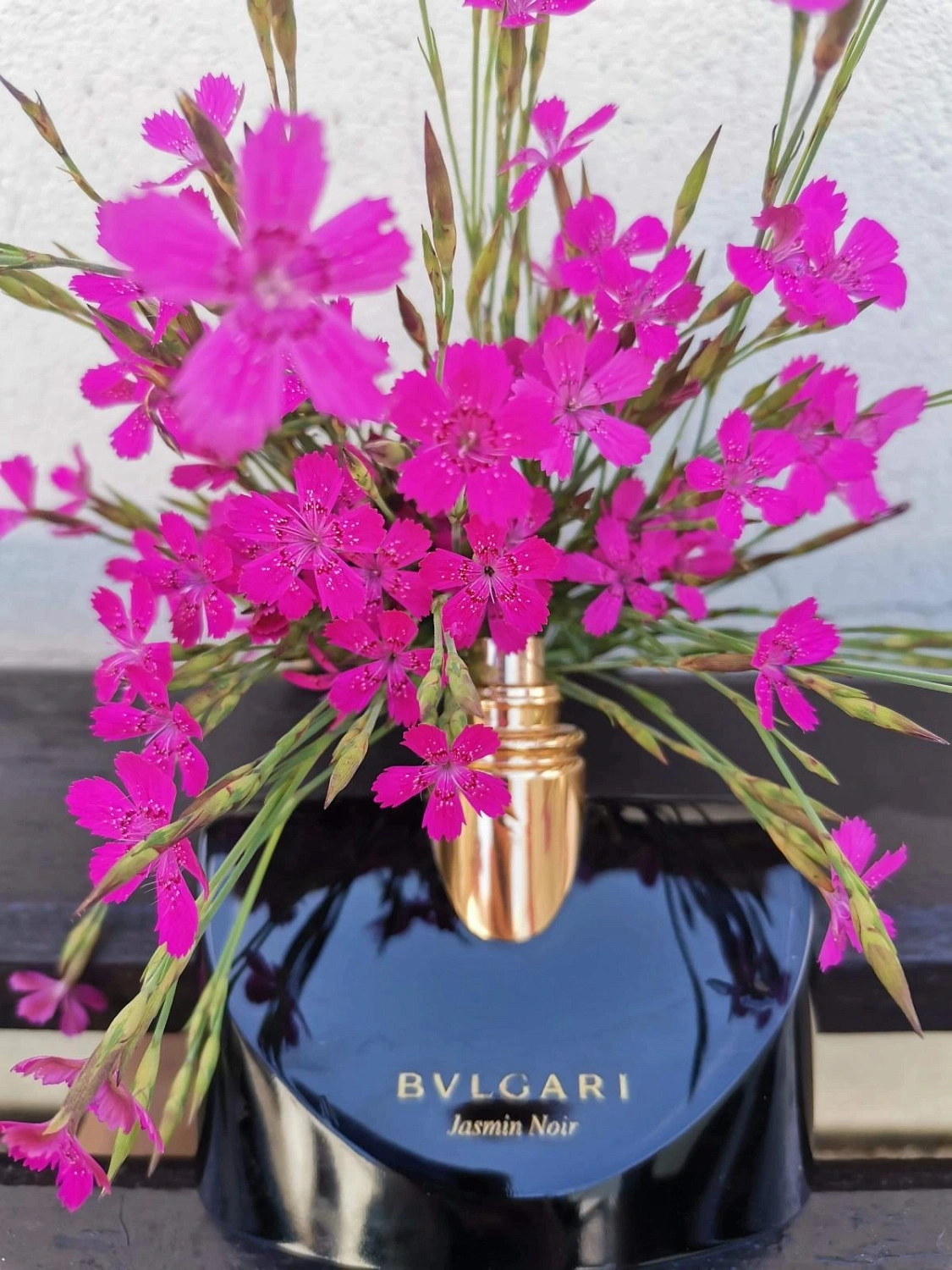 Bvlgari Jasmin Noir