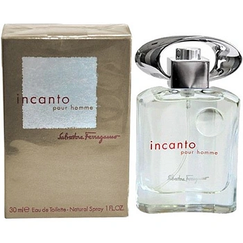 Salvatore Ferragamo Incanto pour Homme туалетная вода 30 мл