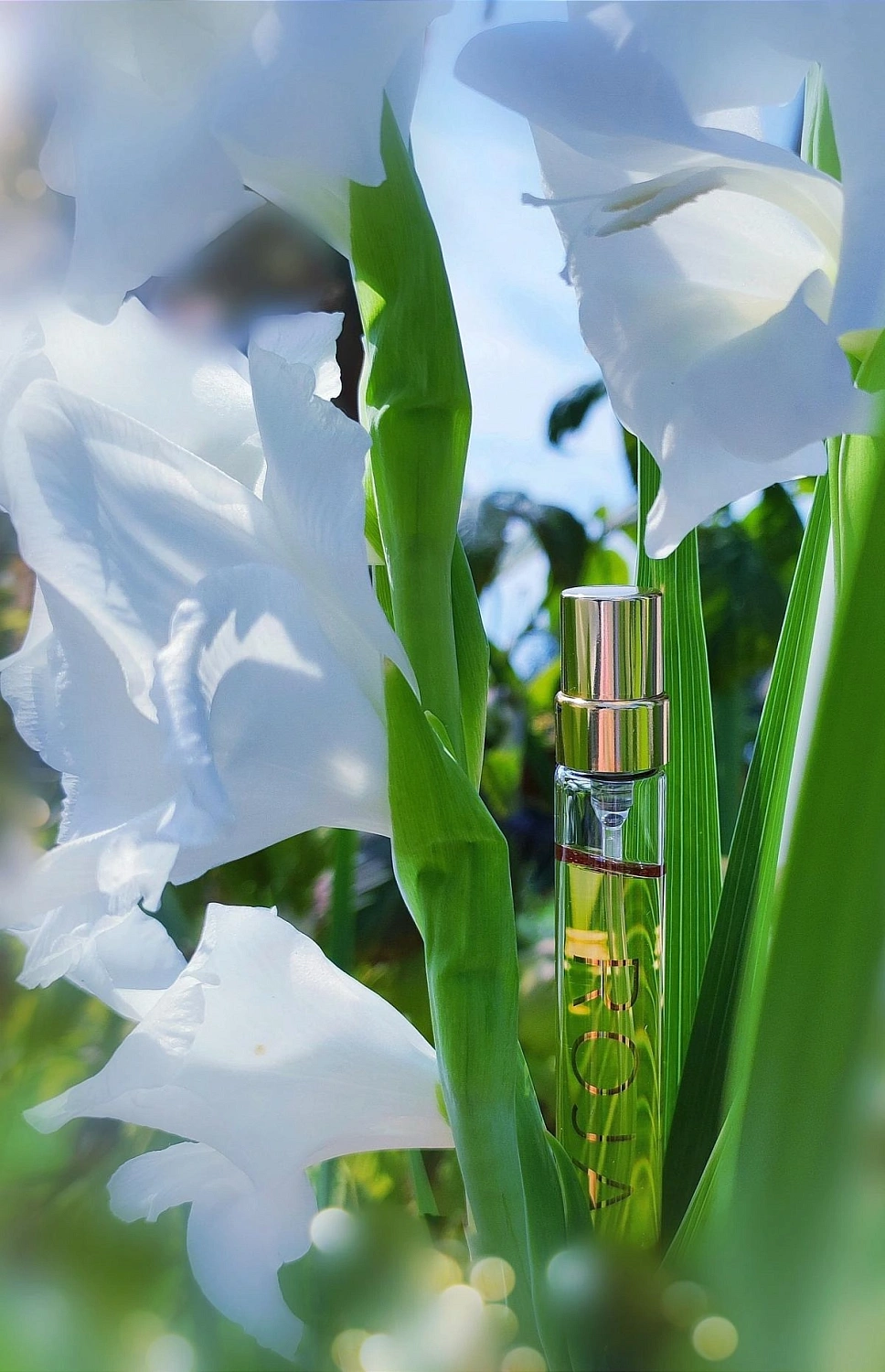 Roja Parfums 51 Pour Femme