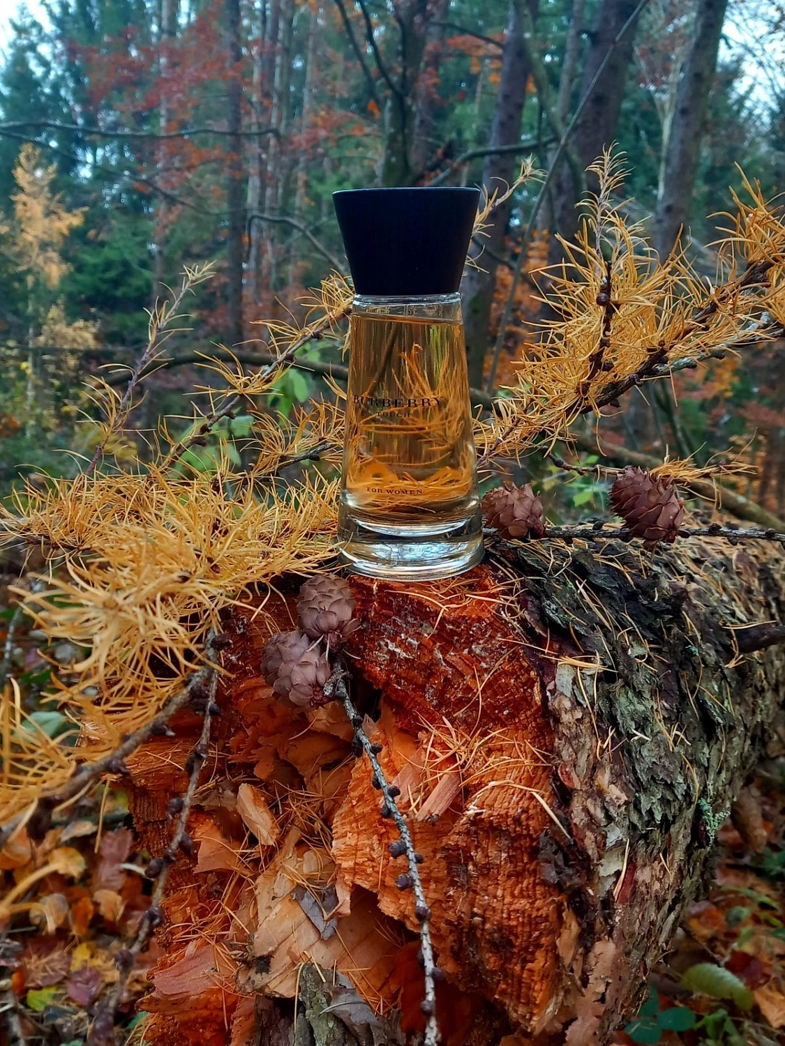 Burberry Touch for Women