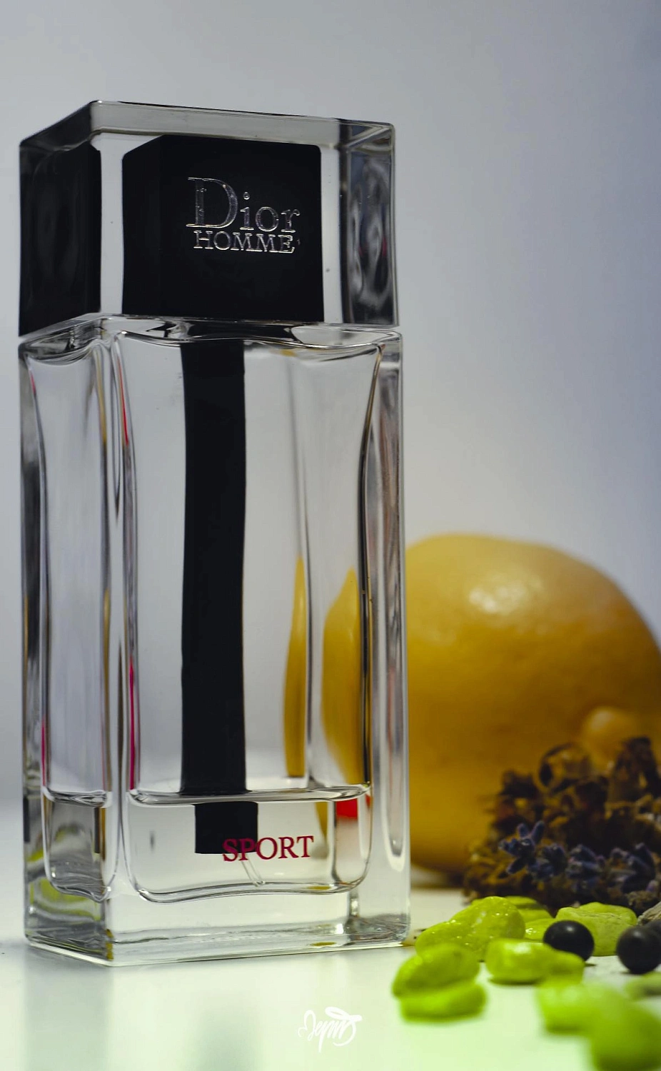 Christian Dior Homme Sport 2025